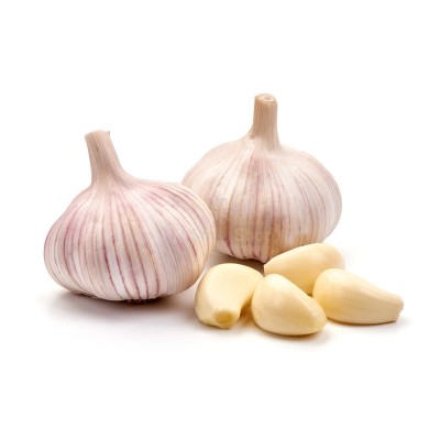 Чеснок крупный 1 кг - купить в Новояшево